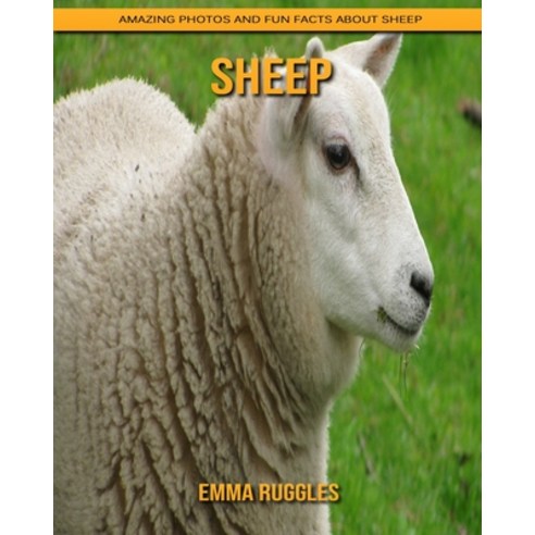 Sheep: Amazing Photos and Fun Facts about Sheep Paperback, Independently Published, English, 9798739706379