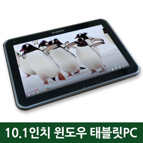 블루버드 RT100: 다재다능한 10.1인치 윈도우 태블릿 PC, 일상과 업무를 잇다 중고태블릿