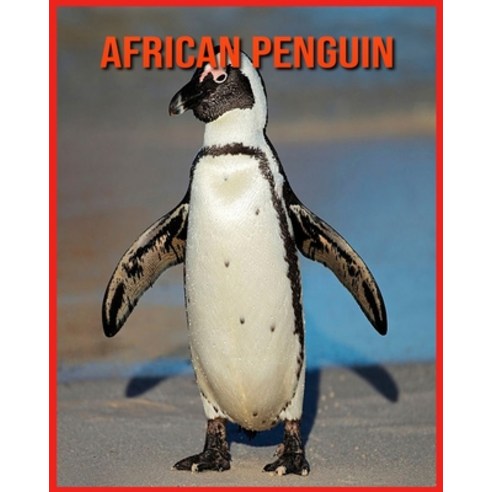 African Penguin: Fun Facts and Amazing Photos of Animals in Nature Paperback, Independently Published, English, 9798705966288