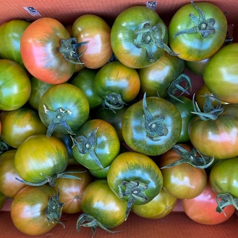 산지직송(하재용농가)-대저짭짤이토마토, 1박스, 대저 토마토 2.5kg(중과)3~4번과