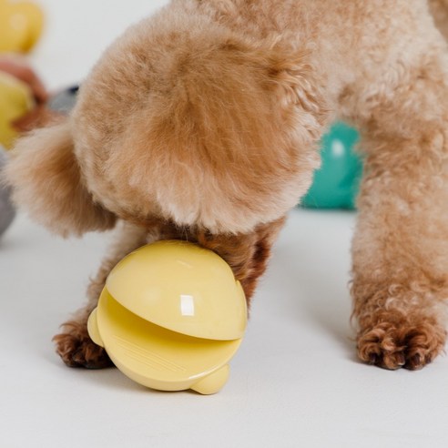 강아지의 지능 개발과 노즈워크 훈련에 최적화된 독톡 강아지 개코볼 노즈워크 장난감