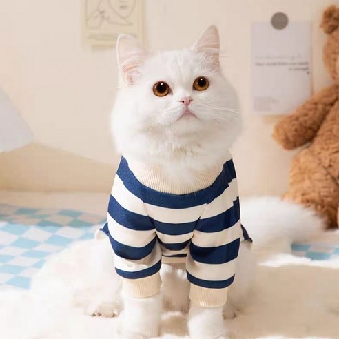 스타일리시한 패션 아이템