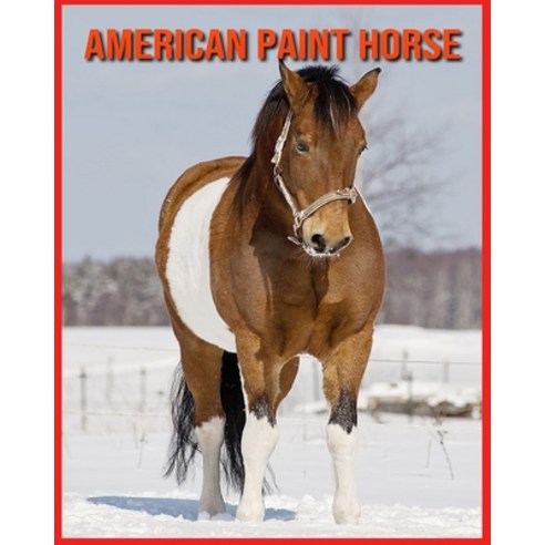 American Paint Horse: Amazing Facts about American Paint Horse Paperback, Independently Published, English, 9798706532246