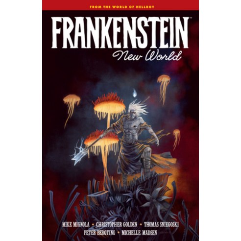 (영문도서) Frankenstein: New World Hardcover, Dark Horse Books, English, 9781506733432