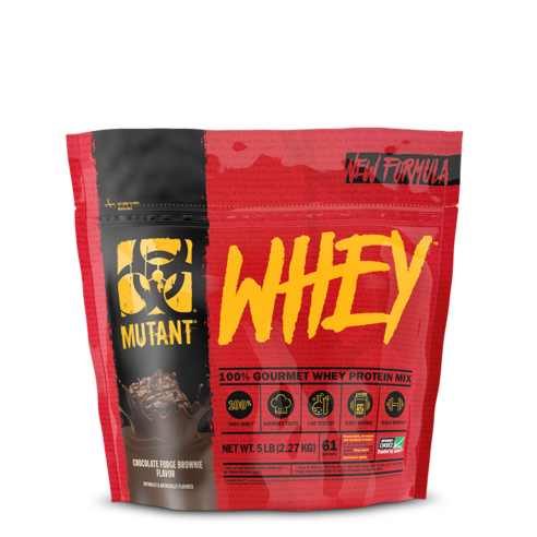 Read more about the article Mutant Whey 뮤턴트 웨이 초콜릿 퍼지 브라우니 프로틴 파우더 5파운드