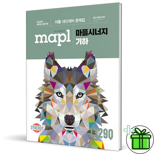 (사은품) 마플 시너지 고등 기하 (2024년), 고등학생