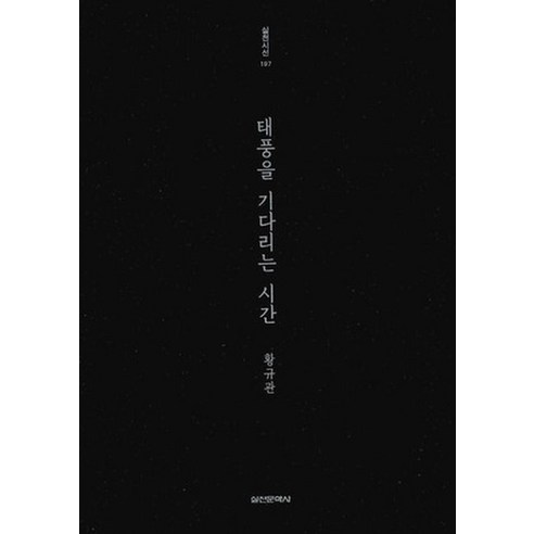태풍을 기다리는 시간, 실천문학사