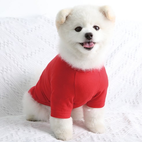 럭키페터 무지 강아지 옷 소형견 대형견 티셔츠, 레드