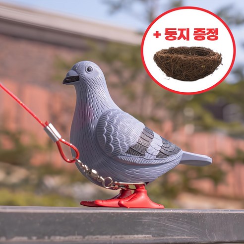 움직이는 반려 비둘기 선물세트 (비둘기+둥지+산책줄), 비둘기+둥지+산책줄 세트