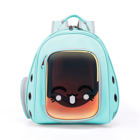 휴대용 고양이 가방 애완 동물 배낭 어깨 투명 배낭, 레이저 분말 녹색