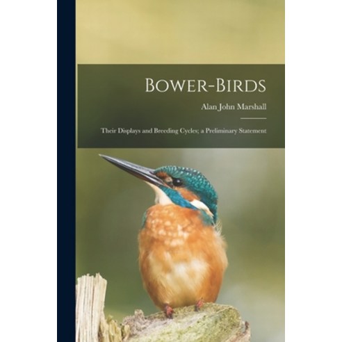 (영문도서) Bower-birds: Their Displays and Breeding Cycles; a Preliminary Statement Paperback, Hassell Street Press, English, 9781013479588