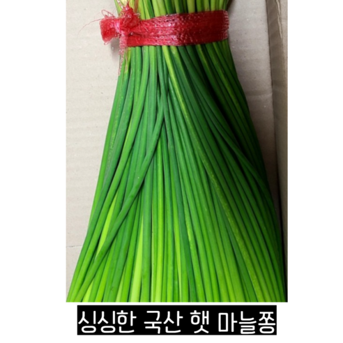 알싸하고 달큰한 국산 햇 마늘쫑 1kg 2kg 3kg 마늘종 햇마늘쫑 마늘쫑장아찌 마늘쫑짱아치 국산마늘쫑, 1개