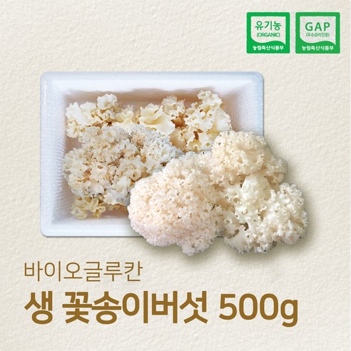 유기농 GAP 인증 국내산 생꽃송이버섯 최상급, 1kg, 1개