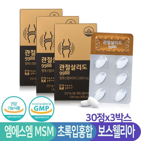 애플트리김약사네 관절살리도 9988 옵티 MSM