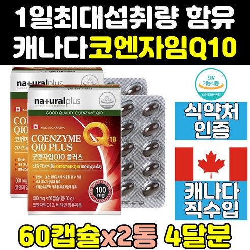 코엔자임 큐텐: 건강과 활력의 필수 영양소