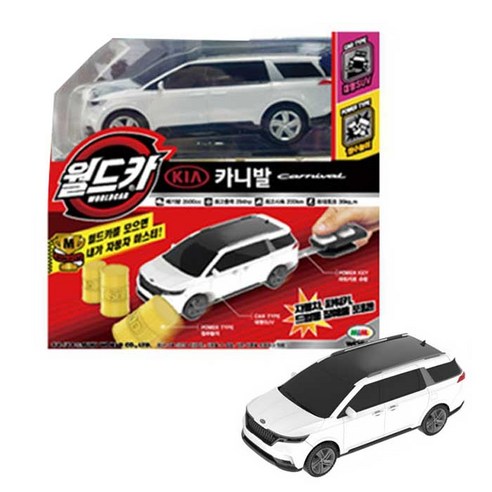 월드카 파워키 카니발, 랜덤발송