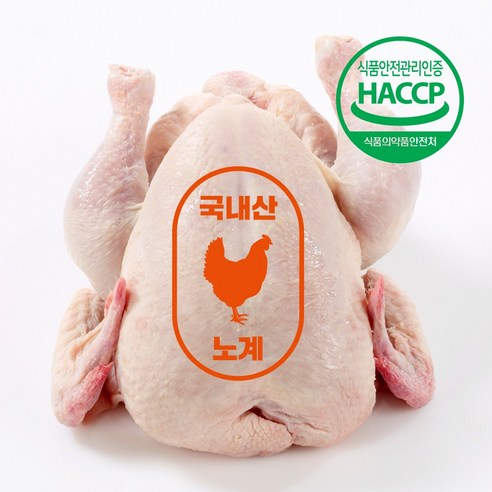 노계닭 폐계 (생닭) 특 1마리 - 마리당 1.5kg내외, 1.5kg, 1개