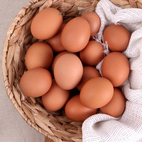 에그웰 무항생제 계란 HACCP인증 달걀 신선 날계란 왕란, 1개, 60구