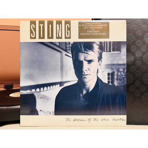 1985 스팅 Sting LP (음반 EX+ 자켓 EX+)