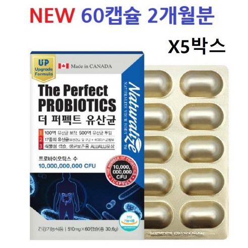 유산균 락토바실러스 플란타럼 6개월 식약처인증 락토바실러스 플란타룸 프로바이오틱스 비피도 박테리움 비피더스균 100억유산균, 180정, 1박스