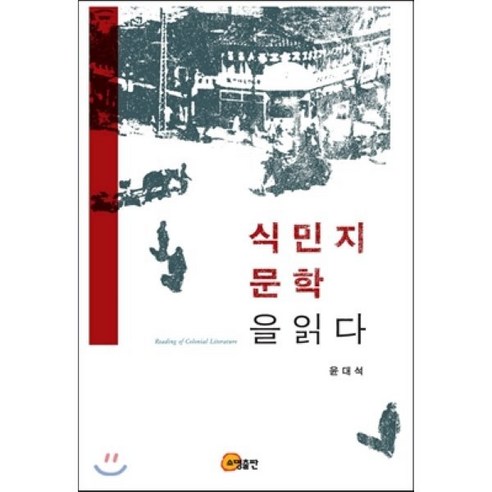 식민지 문학을 읽다, 소명출판, 윤대석 저