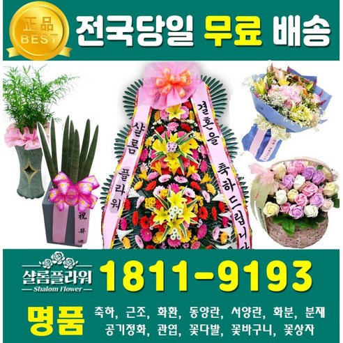 파키라꽃화분 화환 결혼축하화환 팔순화환 친구결혼화환 개업식화환 예식장화환 하환 조문화환 축하3단화환