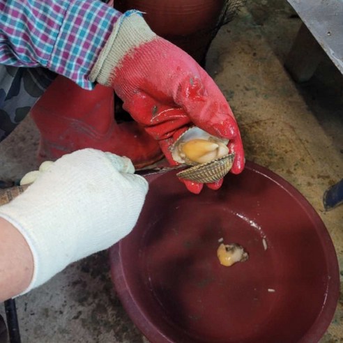 여수 새조개: 고소한 맛과 영양가를 즐기는 샤브샤브 원물