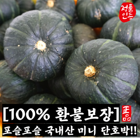 [산지직송] 가정용 밤호박 2kg 3kg 5kg 10kg / 미니밤호박 단호박 미니단호박 제주미니밤호박 호박 밤호박1kg 밤호박2kg 밤호박3kg 미니밤단호박 밤단호박 미니밤호박, 1개