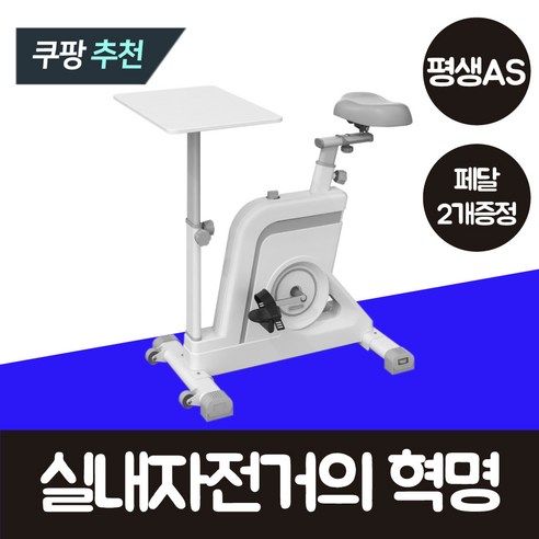 정직한형제들 실내자전거 PRO 가정용 바이크 유산소 운동 기구 헬스 좌식 사이클