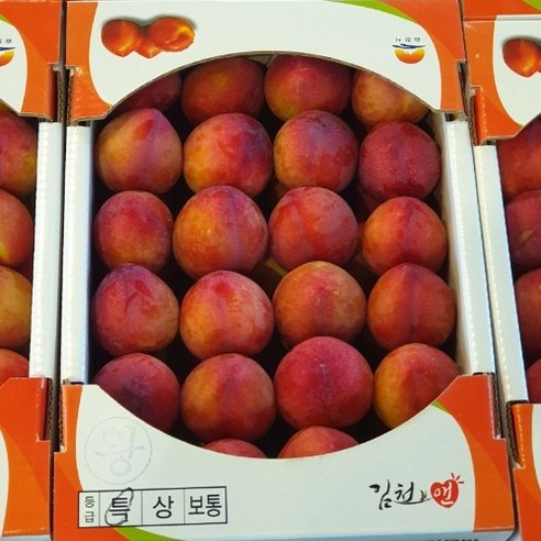 김천1등 초고당도 자두