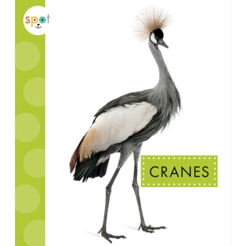 (영문도서) Cranes Library Binding, Amicus Learning, English, 9781645490968