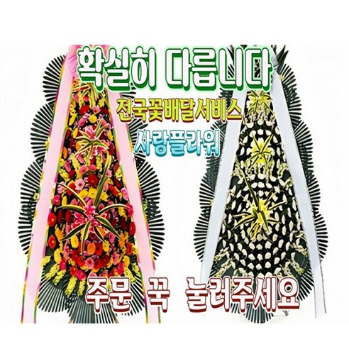 도봉구 화환 개업화환 개업화분 축하승진란 근조화환 축하화환 결혼식장화환 장례식장화환 전국꽃배달당일배송, 일반