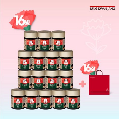 정관장 홍삼진고 16병+쇼핑백 16장, 16개, 100g