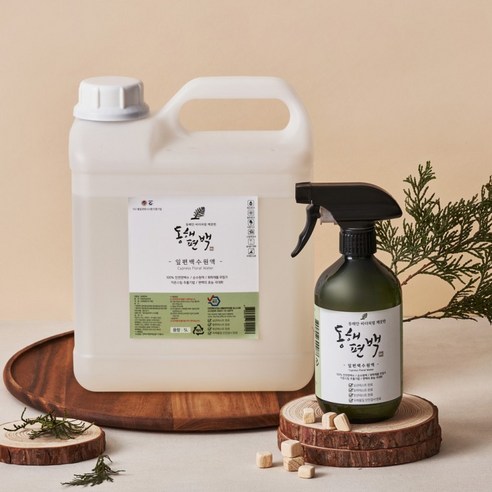 동해편백 잎 편백수, 자연의 피톤치드를 느끼다