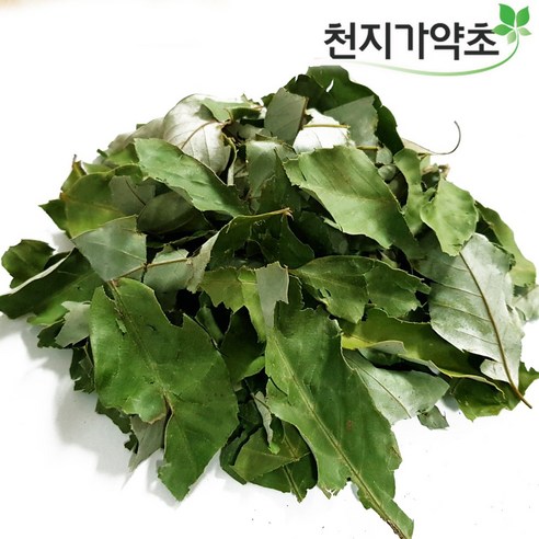 (롯데택배발송) 천지가약초 참가시나무잎 1200g(300gX4봉) 청정제주산 참가시나무, 4개, 300g