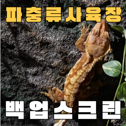 주스터디 극사실 파충류 크레편해 백업스크린, 암석형, 2개
