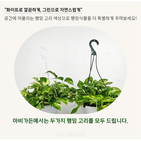 싱그러운 초록빛, 당신의 공간에 생기를 더하세요