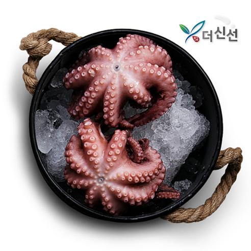 [더신선] 통영 산지직송 자연산 돌문어 800g 1-3미 산소포장 당일조업, 1개, 800g내외 (1-3미)