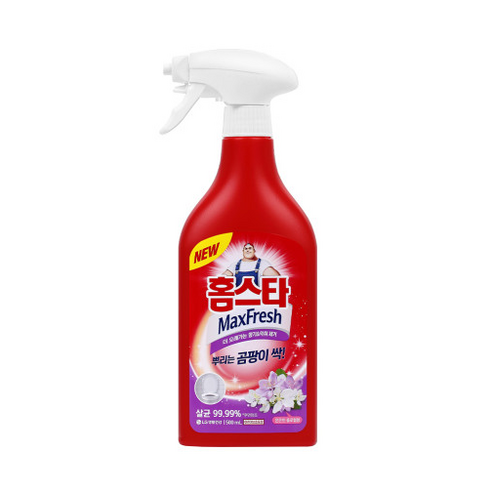 홈스타파워액션 뿌리는 곰팡이 싹 세정제, 500ml, 1개