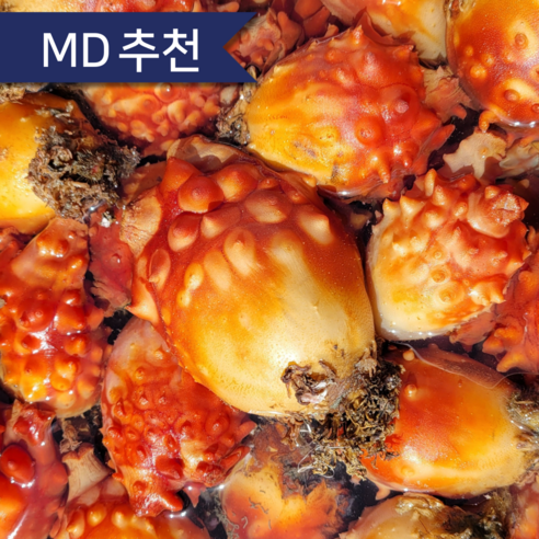 통영 생물 활 멍게 산지직송 횟감용, 1개, 활멍게 1kg