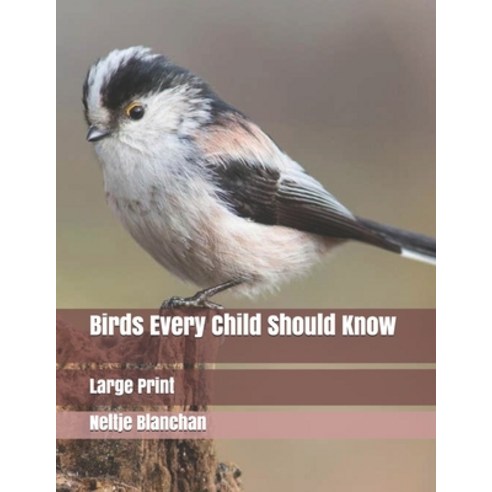 Birds Every Child Should Know: Large Print Paperback, Independently Published, English, 9781698001012