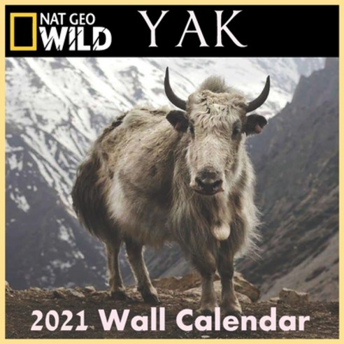 YAK Calendar 2021: Yak calendar 2021 "8.5x8.5" Inch 16 Months JAN 2021 TO APR 2022 finished and Glossy Paperback, Independently Published, English, 9798588946803