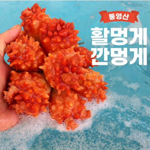 돌멍게 통영 산지직송 깐멍게 활멍게 500g 자연산 제철 손질 멍게, 깐멍게 500g, 1개 Best Top5