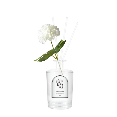바이향 블루밍 홈 디퓨저, 1개, 500ml, 스카이오션