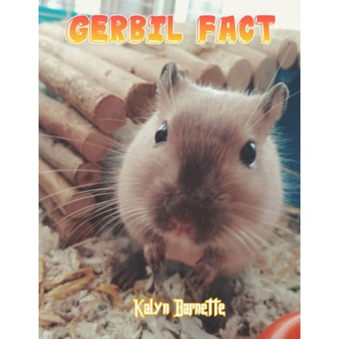 Gerbil Fact: GERBIL fact for girl age 1-10 GERBIL fact for boy age 1-10 facts about all about GERBIL Paperback, Independently Published, English, 9798746846907