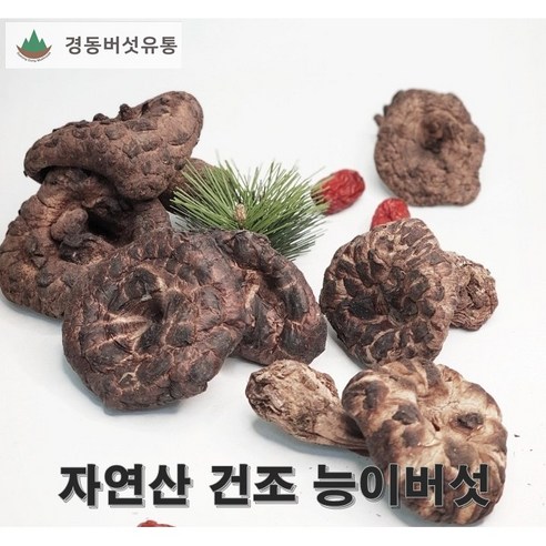 자연산 능이버섯 건조 100g / 경동버섯유통, C