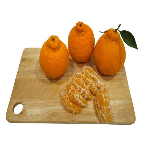 제주 노지에서 재배한 최고급 한라봉, 합리적인 가격에 만나보세요.