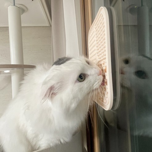 로이코 리키리키 리킹매트 강아지 고양이 실리콘 슬로우 노즈워크 식기 혀클리너, 크림, 1개
