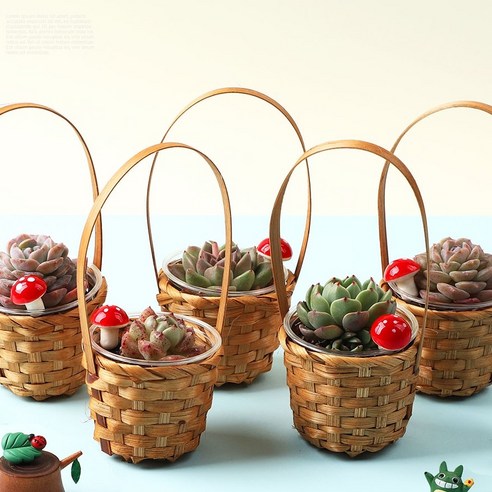 [OKㅣ강추] 아트랄라의 매혹적인 다육식물 키우기 바구니: 실내 그린 오아시스 창출 [OKNOWㅣ추천상품]