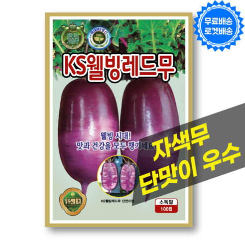 자색 무 씨앗 100립 생식 단맛이 우수 보라무 종자 씨, 1개